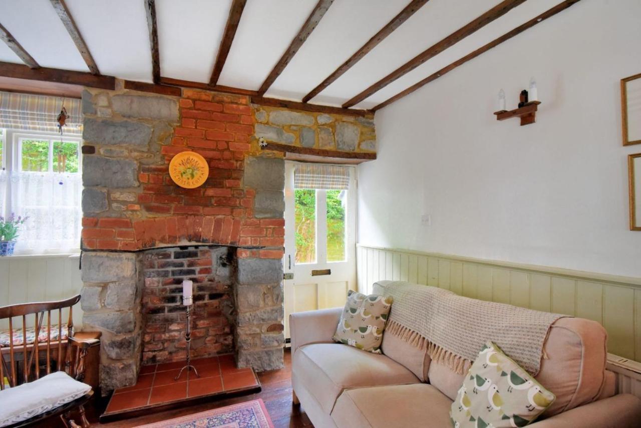 Lavender Cottage Lyme Regis Dış mekan fotoğraf